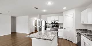 313 Bounding Main Gallery 5