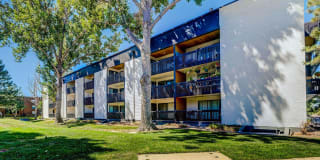 Sage at Panorama Gallery 20