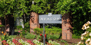 Avalon Garden City Gallery 50