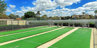 712 WHITE PINE TREE ROAD Gallery 46