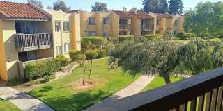 2950 Alta View Drive Gallery 6