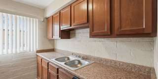 2520 East Cameron Vista 2520 East Cameron Vista Gallery 6