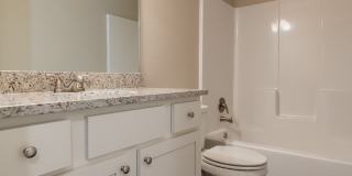 3bed 2bath, LOADED w/Amenities near Stonebridge Meadows Country Club Gallery 15