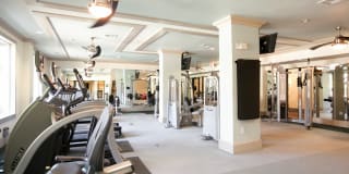 City North Gallery 16