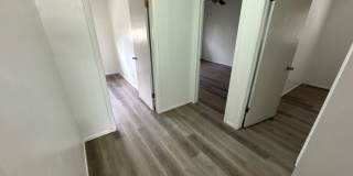 2345 Stace Street Gallery 9