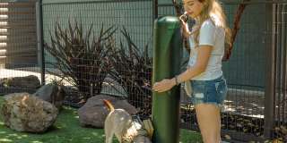 CitySouth Gallery 41