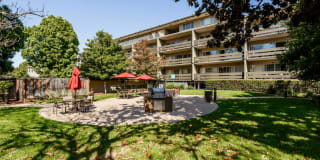 Palo Alto Place Gallery 10