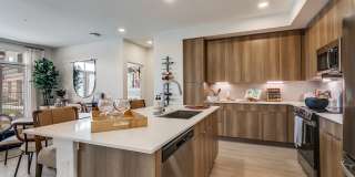 Altitude at the Brooks Gallery 16