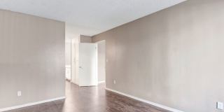 Olive Ridge Apartments Gallery 14