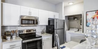 Avant at Steele Creek Gallery 6