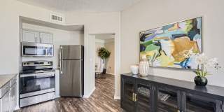 Arboretum at Lewisville Gallery 21
