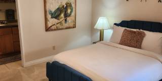41786 Woodhaven Dr W Gallery 14