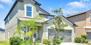 9434 Lemon Drop Loop Gallery 3