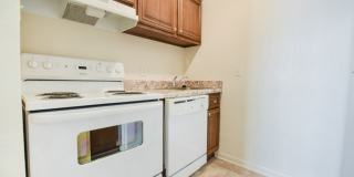 Willowood Gallery 12