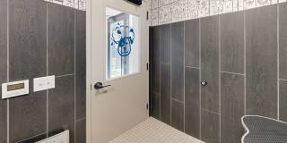 The Confluence Gallery 13
