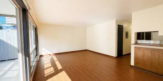 Bright 1 Bed / 1 Bath Apartment for Rent in North Seattle — Large Patio, Off-Street Parking, Near Green Lake & Fremont! Gallery 1