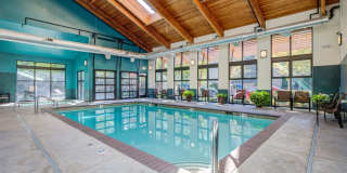 Discovery Heights Discovery Heights Gallery 15