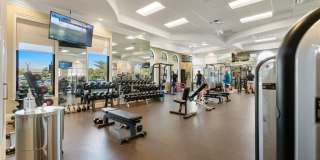 28540 Carlow Ct Gallery 28