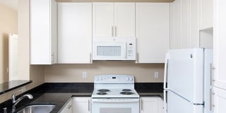 Woodland Meadow Gallery 8