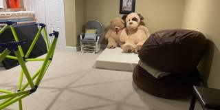 20671 STILLPOND Court Gallery 44