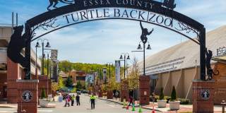 LIA by Vermella Gallery 42