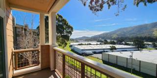 Beautiful Brisbane condo Gallery 6