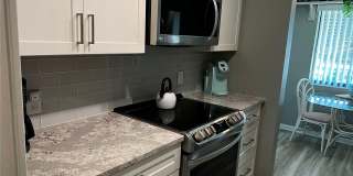 4638 LONGWATER CHASE Gallery 13