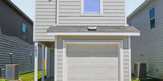 4835 Daisy Blossom Gallery 1