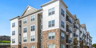 Molly Brook on Belmont Gallery 28