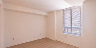 The Veridian Gallery 18