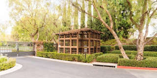41 Bamboo Gallery 33