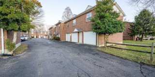 113 College Street Road Gallery 1