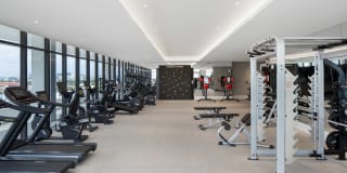 Strata Wynwood Gallery 4