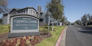 Cypress Creek Gallery 32