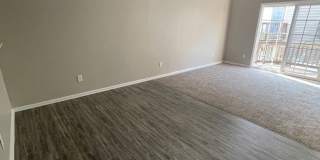 RoyalCeladon6454 Gallery 8