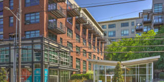 Equinox Gallery 50