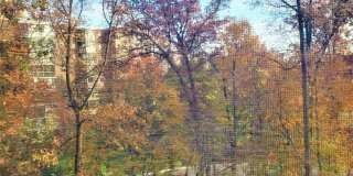 15100 INTERLACHEN Drive Gallery 15