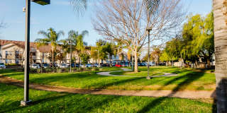 Legends of Rancho Belago Gallery 11