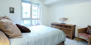 77 Central Apartments Gallery 4