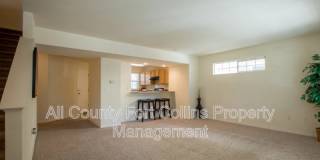 1021 Andrews Peak Drive Gallery 4