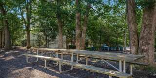 The Oliver in Alexandria Gallery 11