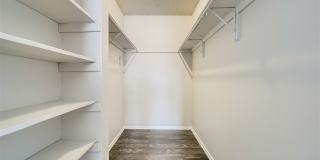 Rise Spring Pointe Gallery 104