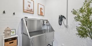 Pines at Wake Forest Gallery 26