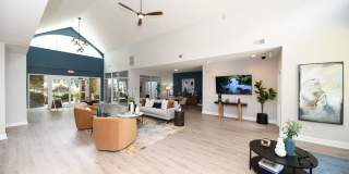 Vetra Asheville Gallery 7
