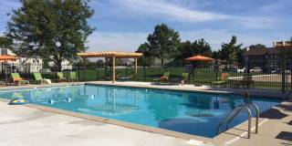 Woods of Castleton Gallery 12