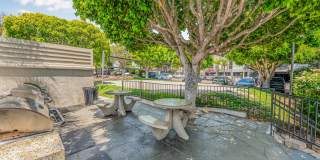 Allina La Jolla Gallery 16