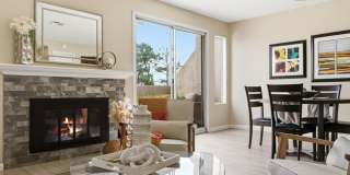 Remodeled 3 bedroom condo Gallery 1
