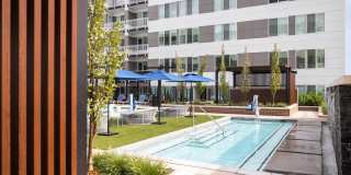 Fellow at Fitz Gallery 7