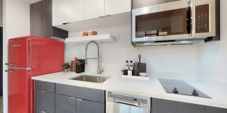 The Roost Gallery 14