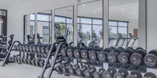 One Burton Gallery 27